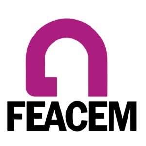 Logo de Feacem